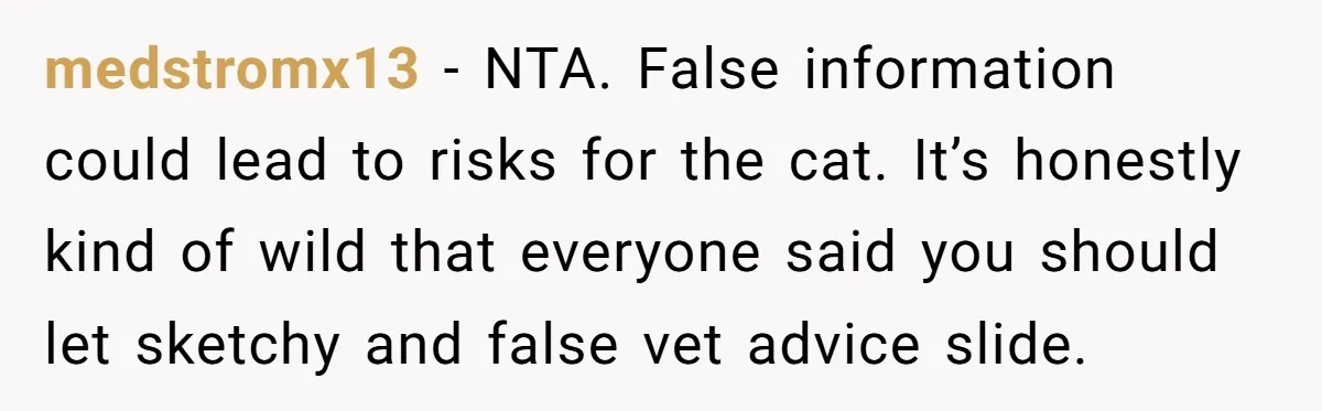 medstromx13 - NTA. False information could lead to risks for the cat. It’s honestly kind of wild that everyone said you should let sketchy and false vet advice slide.