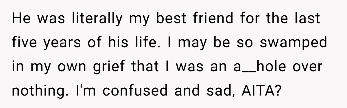 He was literally my best friend for the last five years of his life. I may be so swamped in my own grief that I was an a__hole over nothing....