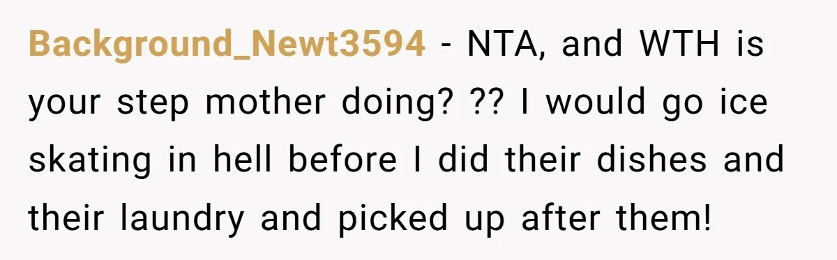 Background_Newt3594 − NTA, and WTH is your step mother doing? ?? I would go ice skating in hell before I did their dishes and their laundry and picked up after...