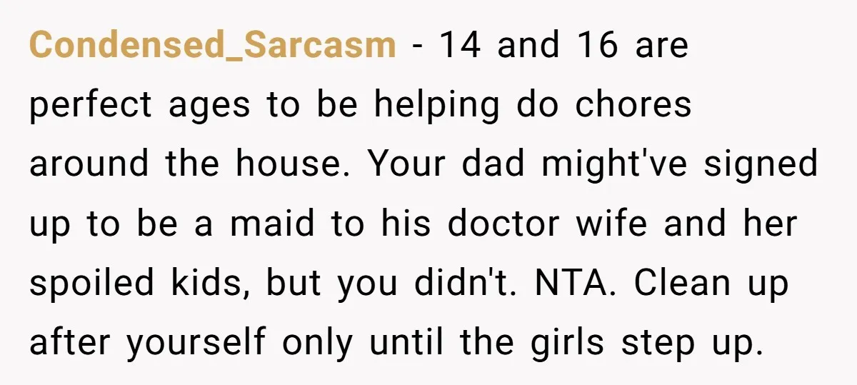 Condensed_Sarcasm − 14 and 16 are perfect ages to be helping do chores around the house. Your dad might've signed up to be a maid to his doctor wife and...