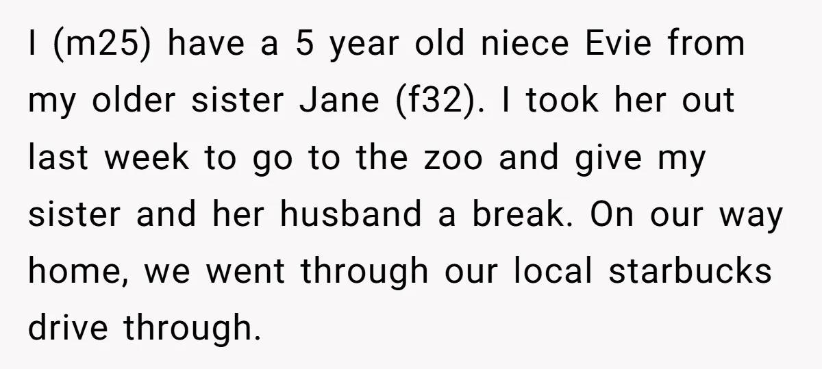 I (m25) have a 5 year old niece Evie from my older sister Jane (f32). I took her out last week to go to the zoo and give my sister...