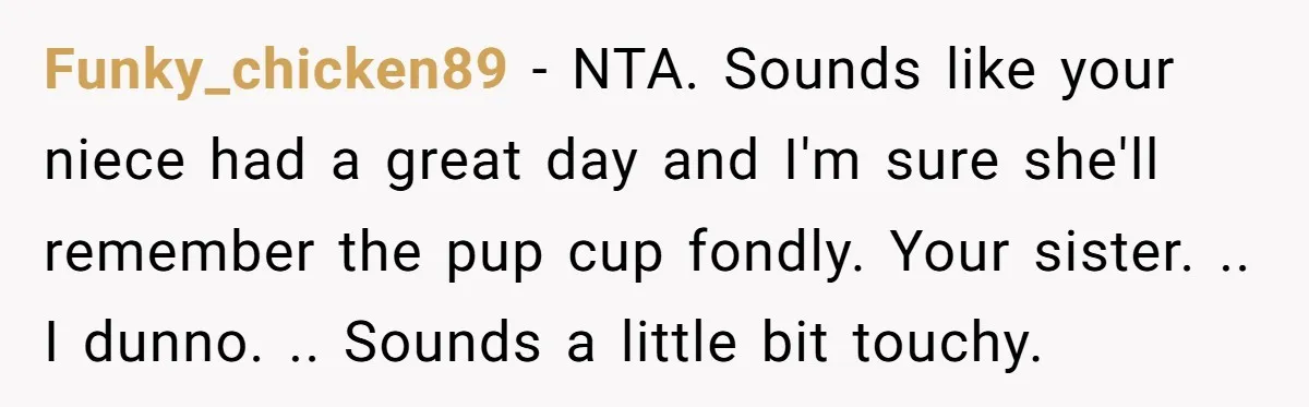 Funky_chicken89 − NTA. Sounds like your niece had a great day and I'm sure she'll remember the pup cup fondly. Your sister. .. I dunno. .. Sounds a little bit...