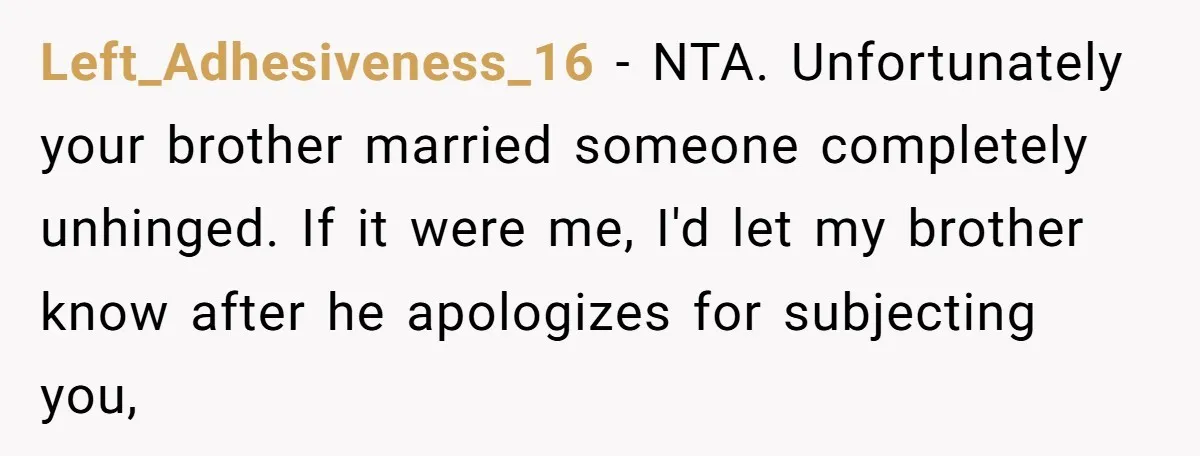 Left_Adhesiveness_16 − NTA. Unfortunately your brother married someone completely unhinged. If it were me, I'd let my brother know after he apologizes for subjecting you,
