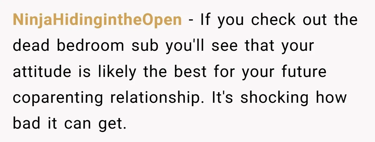 NinjaHidingintheOpen − If you check out the dead bedroom sub you'll see that your attitude is likely the best for your future coparenting relationship. It's shocking how bad it can...