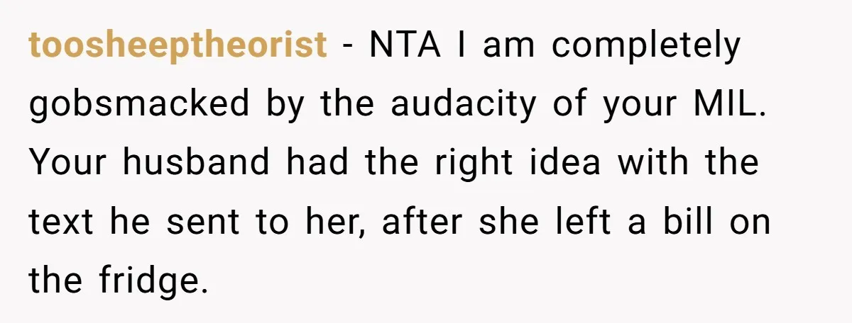 toosheeptheorist − NTA I am completely gobsmacked by the audacity of your MIL. Your husband had the right idea with the text he sent to her, after she left a...