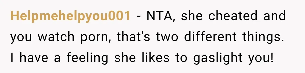 Helpmehelpyou001 − NTA, she cheated and you watch porn, that's two different things. I have a feeling she likes to gaslight you!