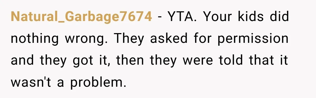 Natural_Garbage7674 − YTA. Your kids did nothing wrong. They asked for permission and they got it, then they were told that it wasn't a problem.