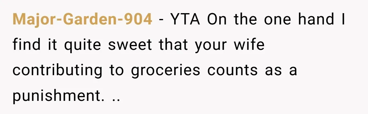 Major-Garden-904 − YTA On the one hand I find it quite sweet that your wife contributing to groceries counts as a punishment. ..