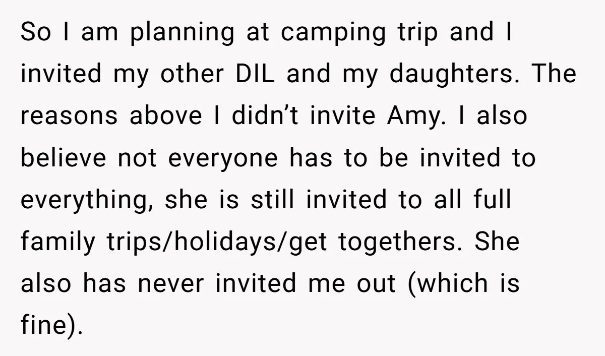 So I am planning at camping trip and I invited my other DIL and my daughters. The reasons above I didn’t invite Amy. I also believe not everyone has to...