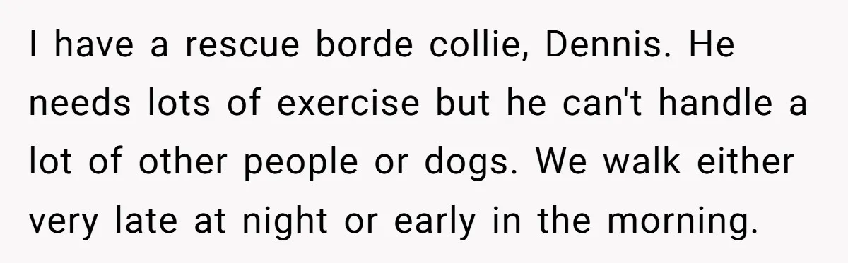 I have a rescue borde collie, Dennis. He needs lots of exercise but he can't handle a lot of other people or dogs. We walk either very late at night...