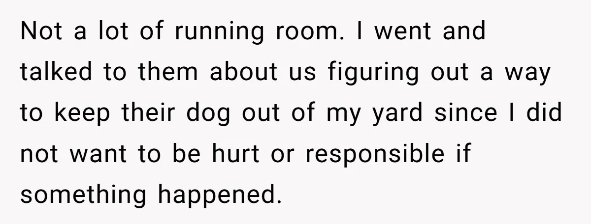 Not a lot of running room. I went and talked to them about us figuring out a way to keep their dog out of my yard since I did not...