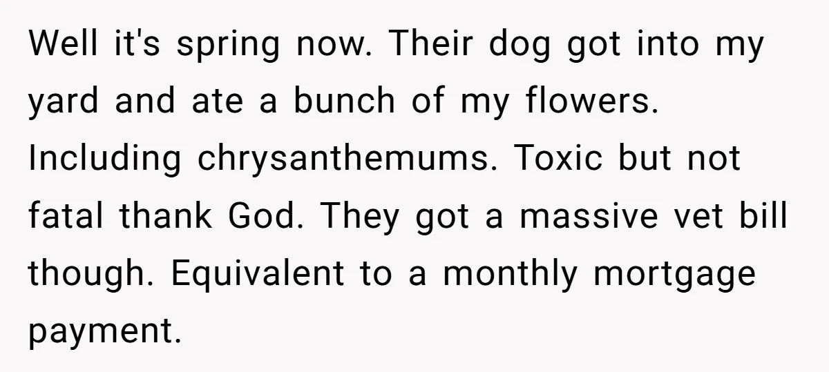 Well it's spring now. Their dog got into my yard and ate a bunch of my flowers. Including chrysanthemums. Toxic but not fatal thank God. They got a massive vet...