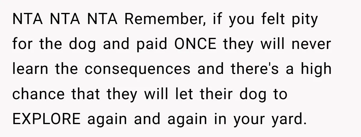 NTA NTA NTA Remember, if you felt pity for the dog and paid ONCE they will never learn the consequences and there's a high chance that they will let their...