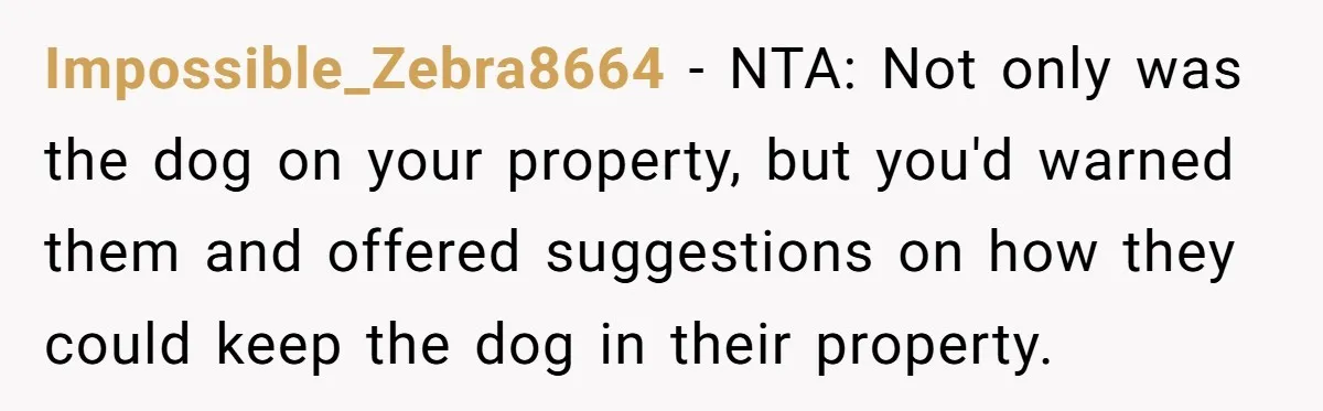 Impossible_Zebra8664 − NTA: Not only was the dog on your property, but you'd warned them and offered suggestions on how they could keep the dog in their property.