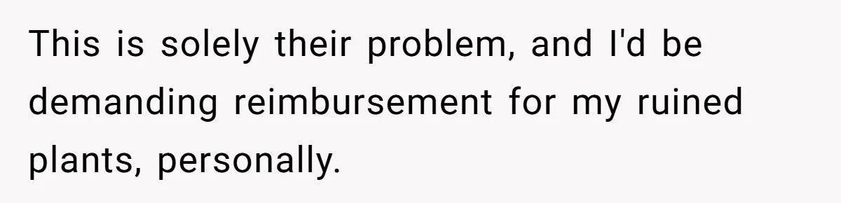 This is solely their problem, and I'd be demanding reimbursement for my ruined plants, personally.