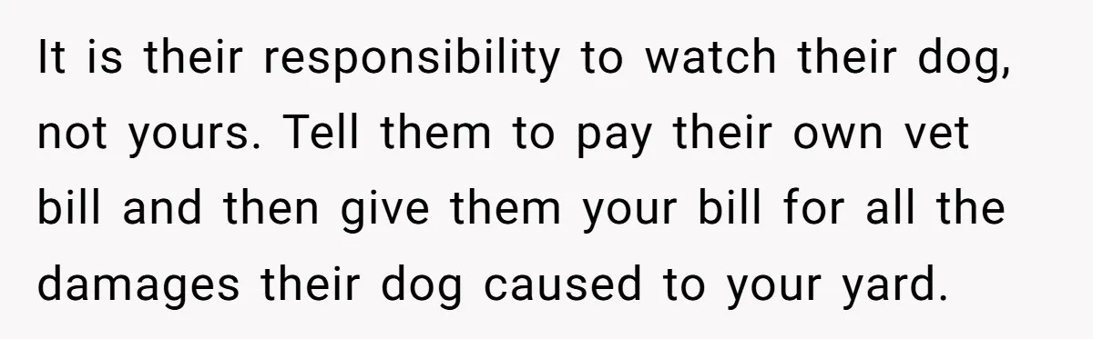 It is their responsibility to watch their dog, not yours. Tell them to pay their own vet bill and then give them your bill for all the damages their dog...