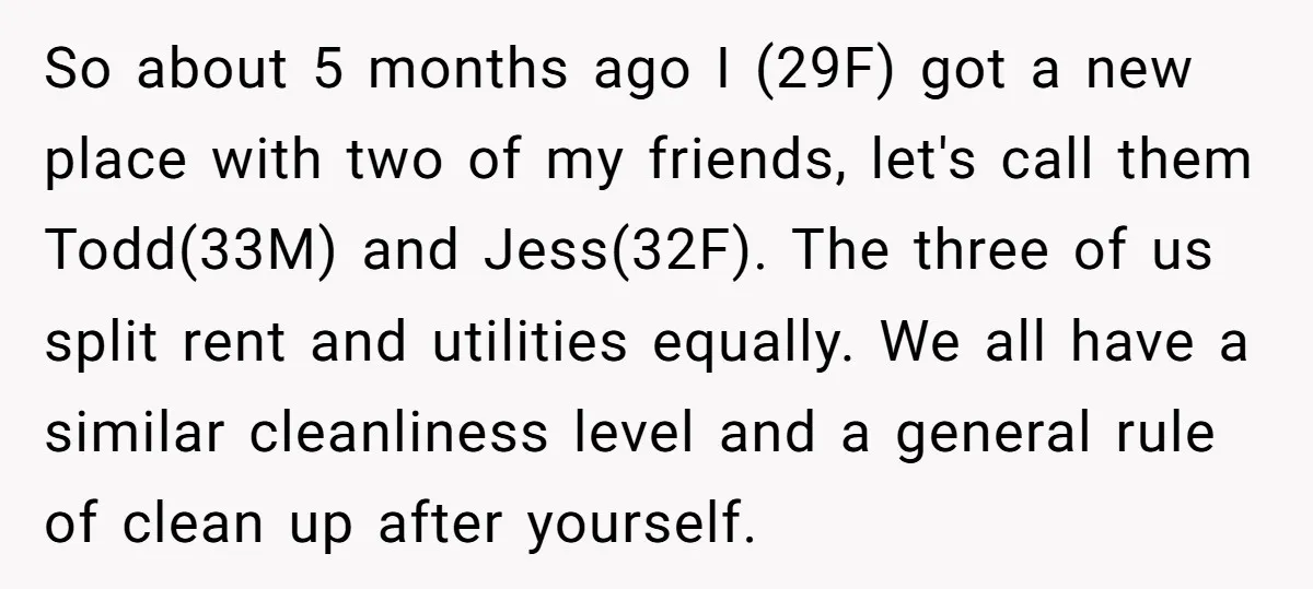 So about 5 months ago I (29F) got a new place with two of my friends, let's call them Todd(33M) and Jess(32F). The three of us split rent and utilities...