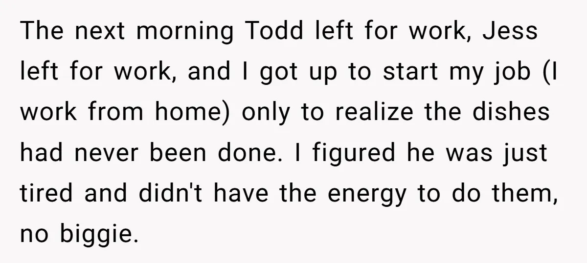 The next morning Todd left for work, Jess left for work, and I got up to start my job (I work from home) only to realize the dishes had never...