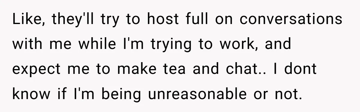 Like, they'll try to host full on conversations with me while I'm trying to work, and expect me to make tea and chat.. I dont know if I'm being unreasonable...