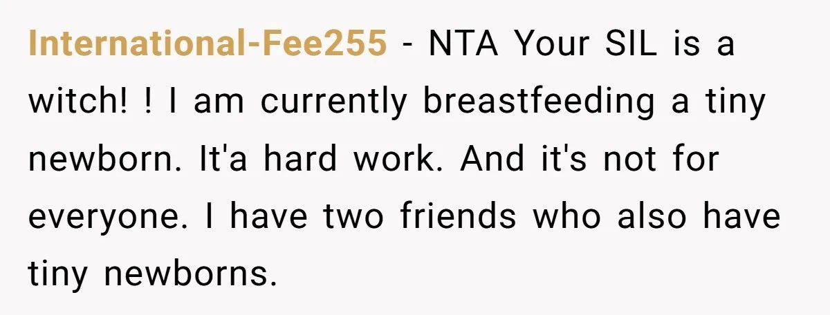 International-Fee255 − NTA Your SIL is a witch! ! I am currently breastfeeding a tiny newborn. It'a hard work. And it's not for everyone. I have two friends who also...
