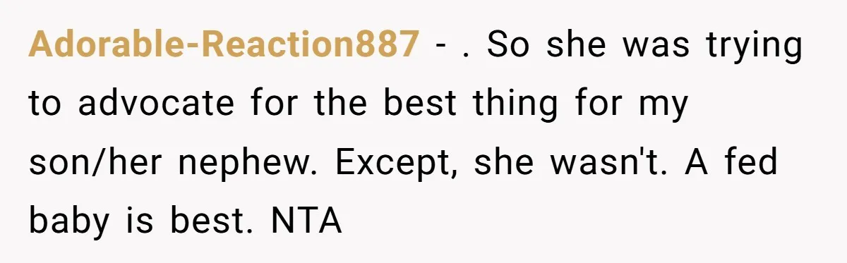 Adorable-Reaction887 − . So she was trying to advocate for the best thing for my son/her nephew. Except, she wasn't. A fed baby is best. NTA