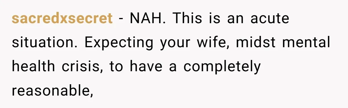 sacredxsecret − NAH. This is an acute situation. Expecting your wife, midst mental health crisis, to have a completely reasonable,