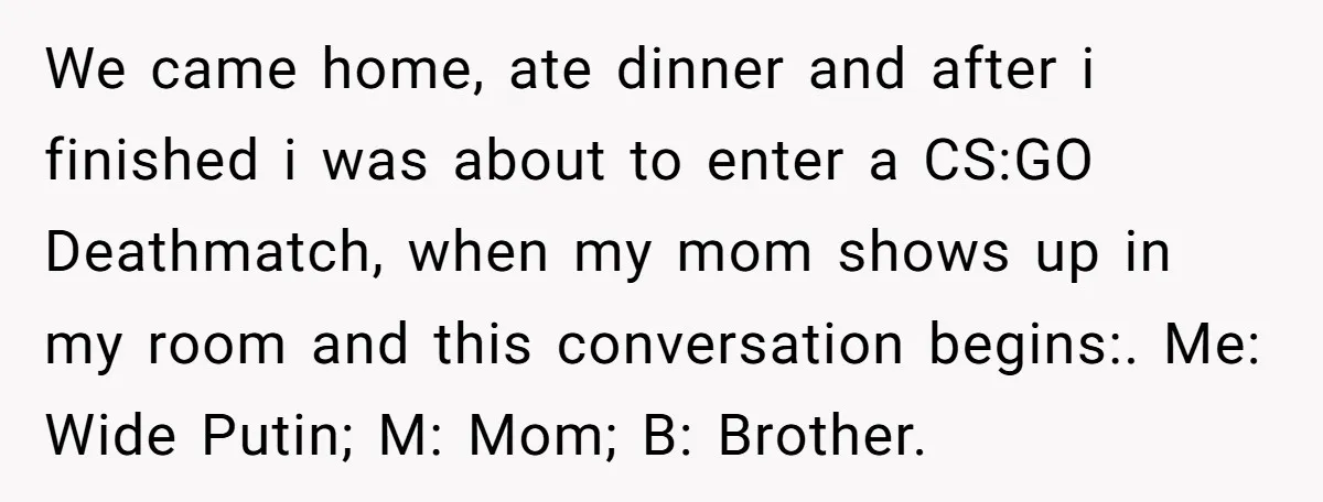 We came home, ate dinner and after i finished i was about to enter a CS:GO Deathmatch, when my mom shows up in my room and this conversation begins:. Me:...