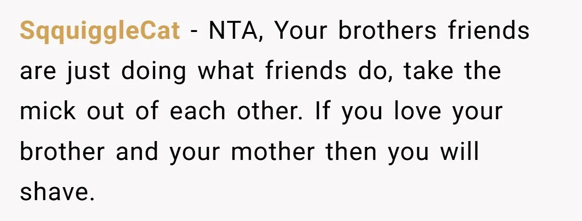 SqquiggleCat − NTA, Your brothers friends are just doing what friends do, take the mick out of each other. If you love your brother and your mother then you will...