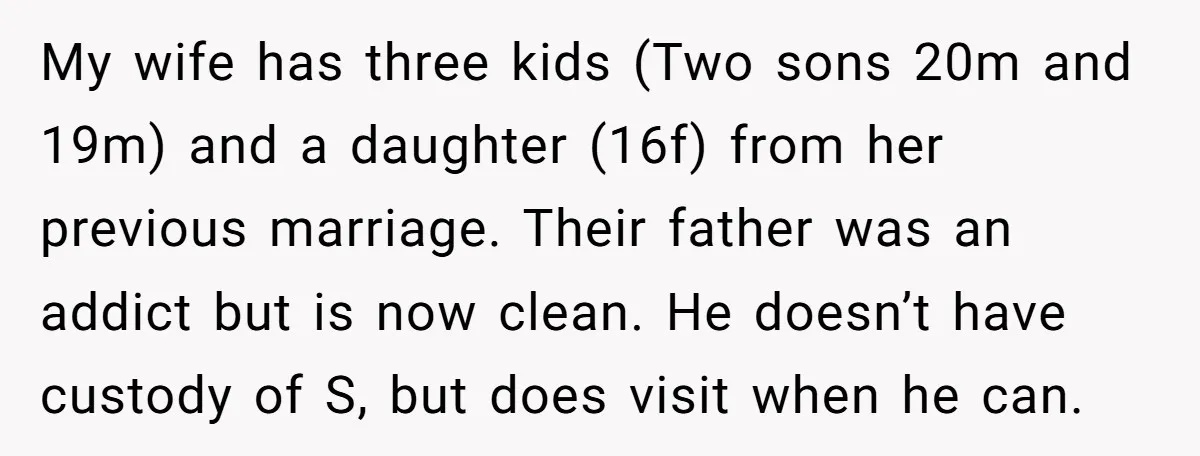My wife has three kids (Two sons 20m and 19m) and a daughter (16f) from her previous marriage. Their father was an addict but is now clean. He doesn’t have...
