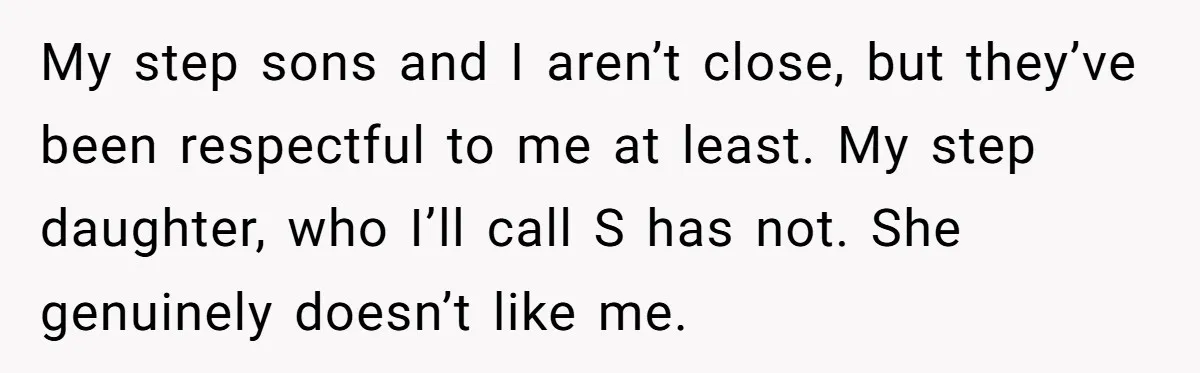 My step sons and I aren’t close, but they’ve been respectful to me at least. My step daughter, who I’ll call S has not. She genuinely doesn’t like me.