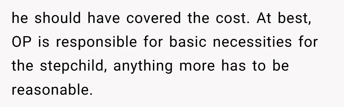 he should have covered the cost. At best, OP is responsible for basic necessities for the stepchild, anything more has to be reasonable.