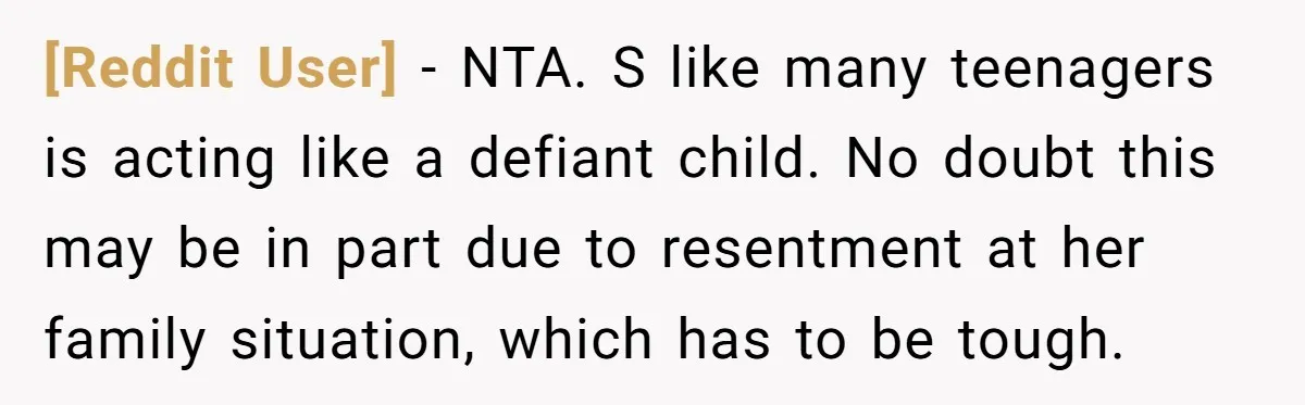 [Reddit User] − NTA. S like many teenagers is acting like a defiant child. No doubt this may be in part due to resentment at her family situation, which has...