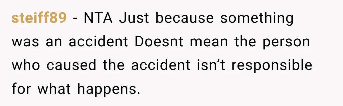 steiff89 − NTA Just because something was an accident Doesnt mean the person who caused the accident isn’t responsible for what happens.