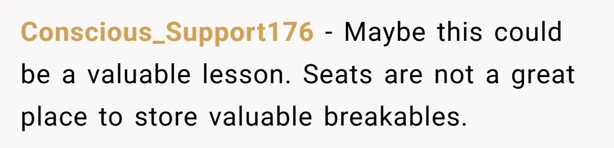 Conscious_Support176 − Maybe this could be a valuable lesson. Seats are not a great place to store valuable breakables.
