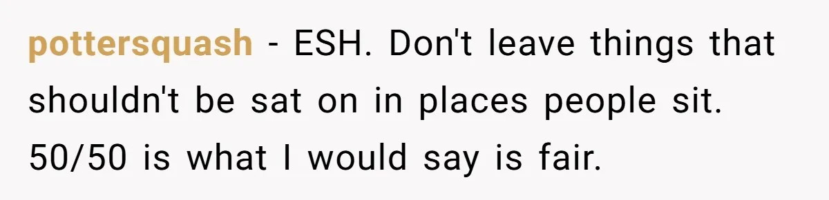 pottersquash − ESH. Don't leave things that shouldn't be sat on in places people sit. 50/50 is what I would say is fair.