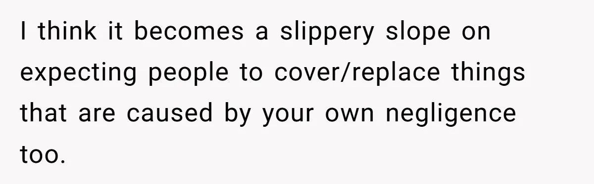 I think it becomes a slippery slope on expecting people to cover/replace things that are caused by your own negligence too.