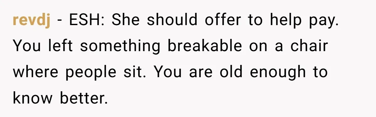 revdj − ESH: She should offer to help pay. You left something breakable on a chair where people sit. You are old enough to know better.