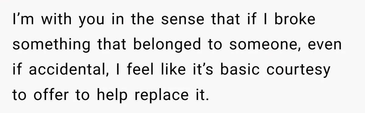 I’m with you in the sense that if I broke something that belonged to someone, even if accidental, I feel like it’s basic courtesy to offer to help replace it.