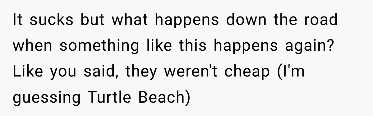 It sucks but what happens down the road when something like this happens again? Like you said, they weren't cheap (I'm guessing Turtle Beach)