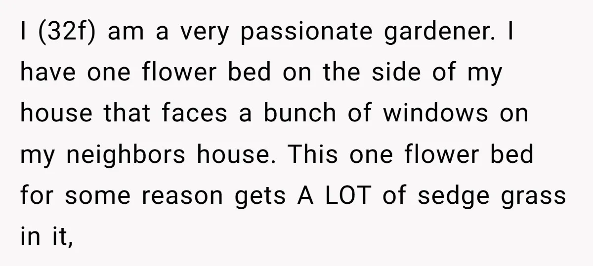 I (32f) am a very passionate gardener. I have one flower bed on the side of my house that faces a bunch of windows on my neighbors house. This one...