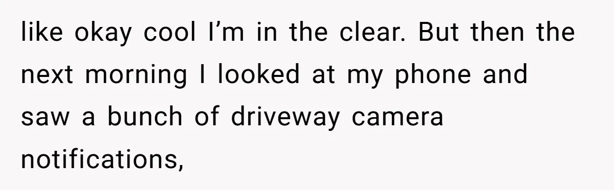 like okay cool I’m in the clear. But then the next morning I looked at my phone and saw a bunch of driveway camera notifications,