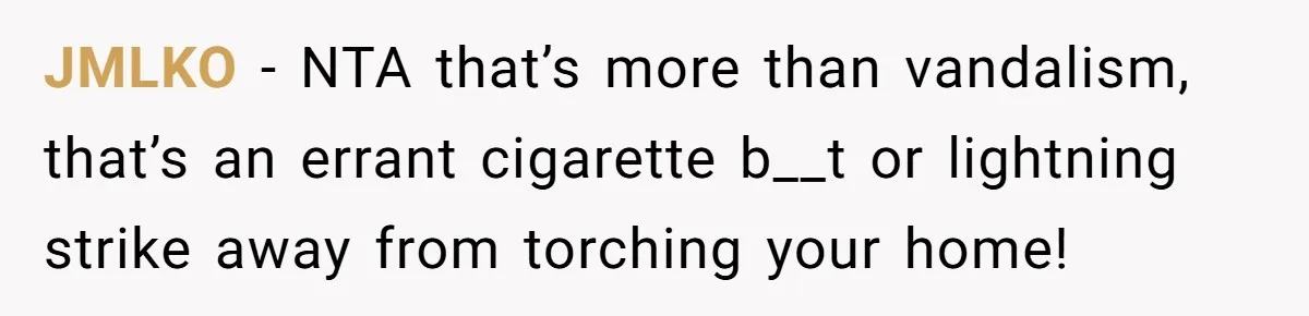 JMLKO − NTA that’s more than vandalism, that’s an errant cigarette b__t or lightning strike away from torching your home!