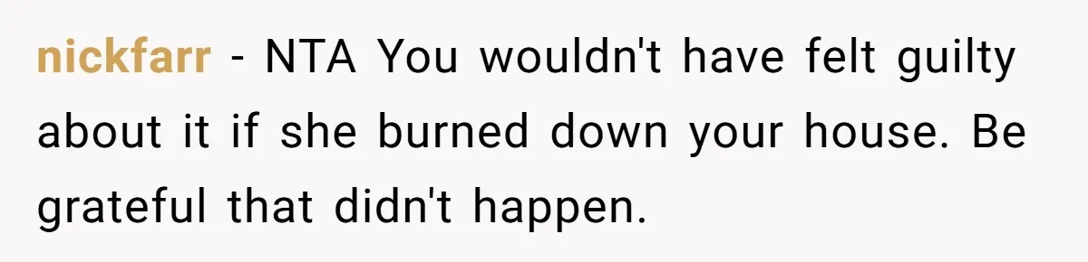 nickfarr − NTA You wouldn't have felt guilty about it if she burned down your house. Be grateful that didn't happen.