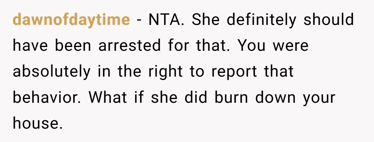 dawnofdaytime − NTA. She definitely should have been arrested for that. You were absolutely in the right to report that behavior. What if she did burn down your house.