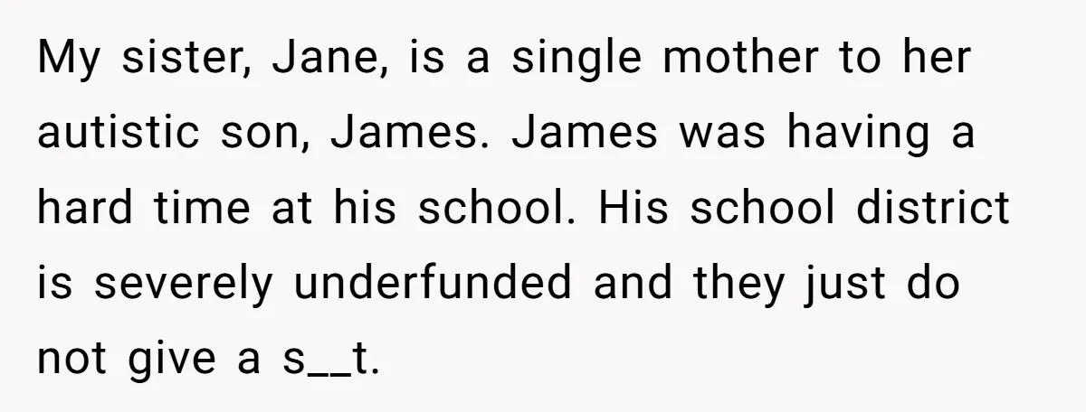 My sister, Jane, is a single mother to her autistic son, James. James was having a hard time at his school. His school district is severely underfunded and they just...