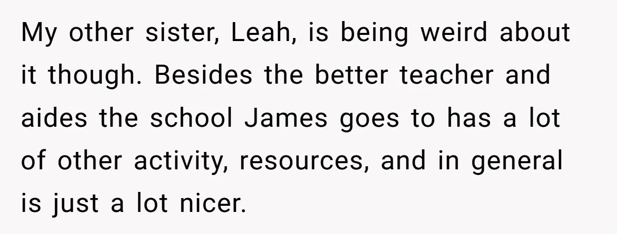 My other sister, Leah, is being weird about it though. Besides the better teacher and aides the school James goes to has a lot of other activity, resources, and in...