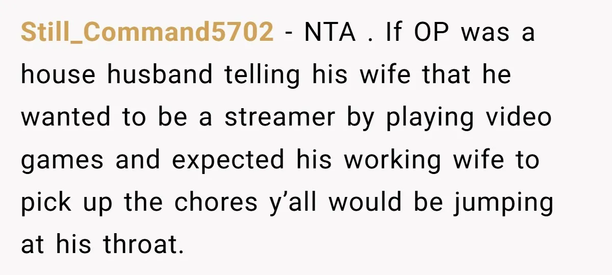 Still_Command5702 - NTA . If OP was a house husband telling his wife that he wanted to be a streamer by playing video games and expected his working wife to...