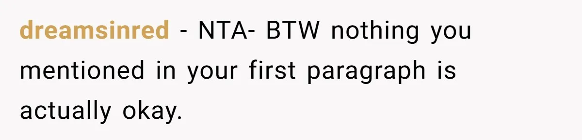 dreamsinred - NTA- BTW nothing you mentioned in your first paragraph is actually okay.