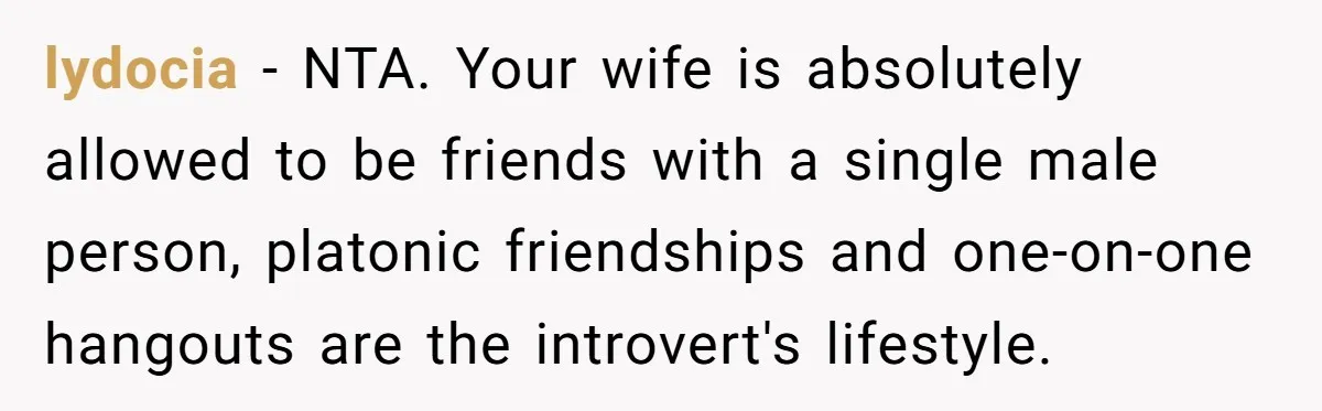 lydocia − NTA. Your wife is absolutely allowed to be friends with a single male person, platonic friendships and one-on-one hangouts are the introvert's lifestyle.
