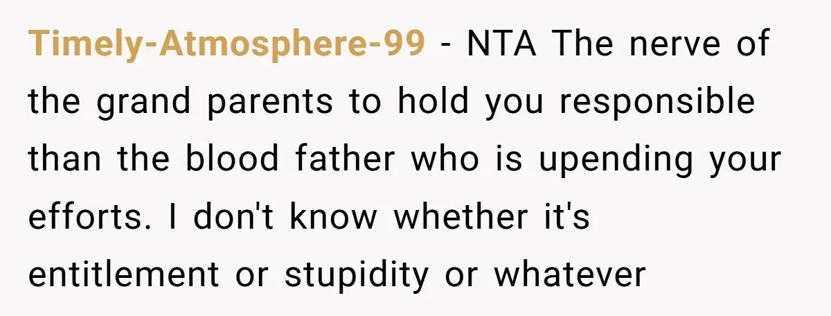 Timely-Atmosphere-99 − NTA The nerve of the grand parents to hold you responsible than the blood father who is upending your efforts. I don't know whether it's entitlement or stupidity...